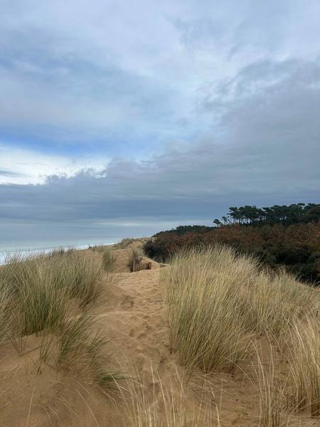 Randonnée entre mer & forêt