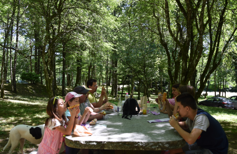 sous-bois aire de pique-nique de Beyriès