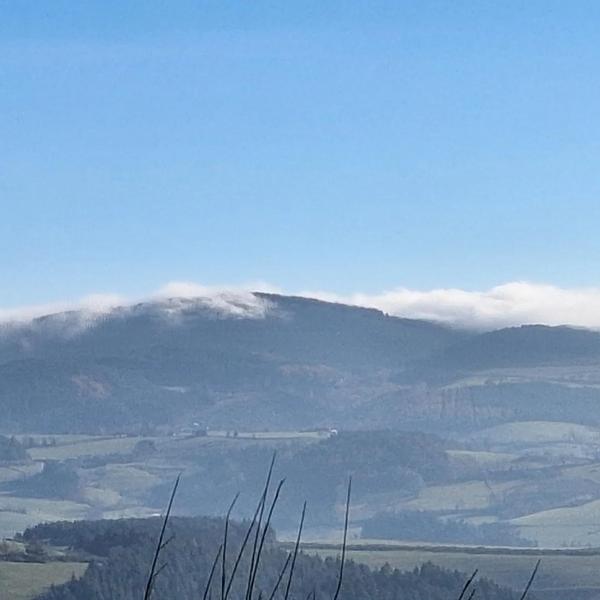 Le pré bleu de Marnand