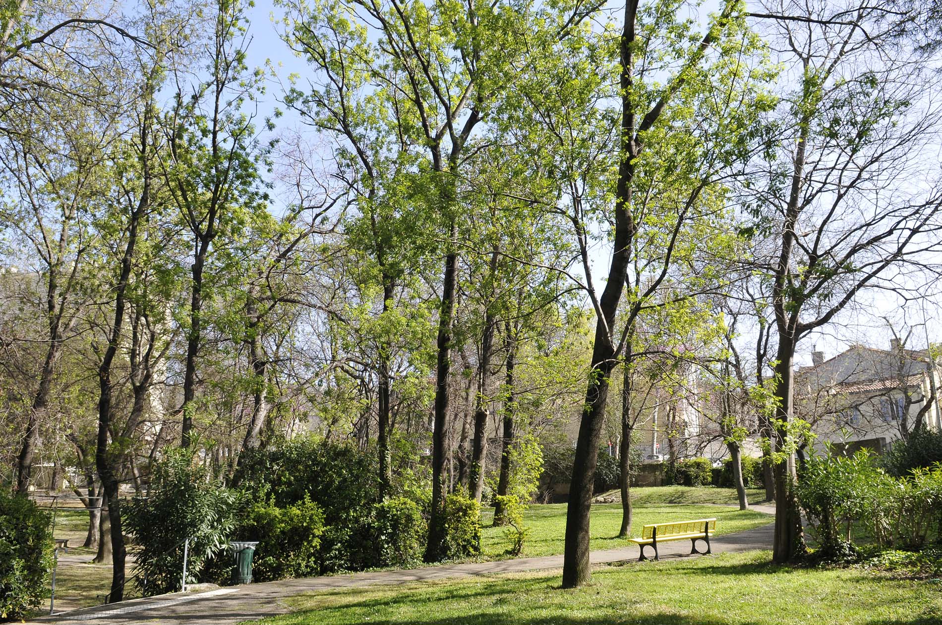 Parc du Vieux Moulin - Ville de Marseille