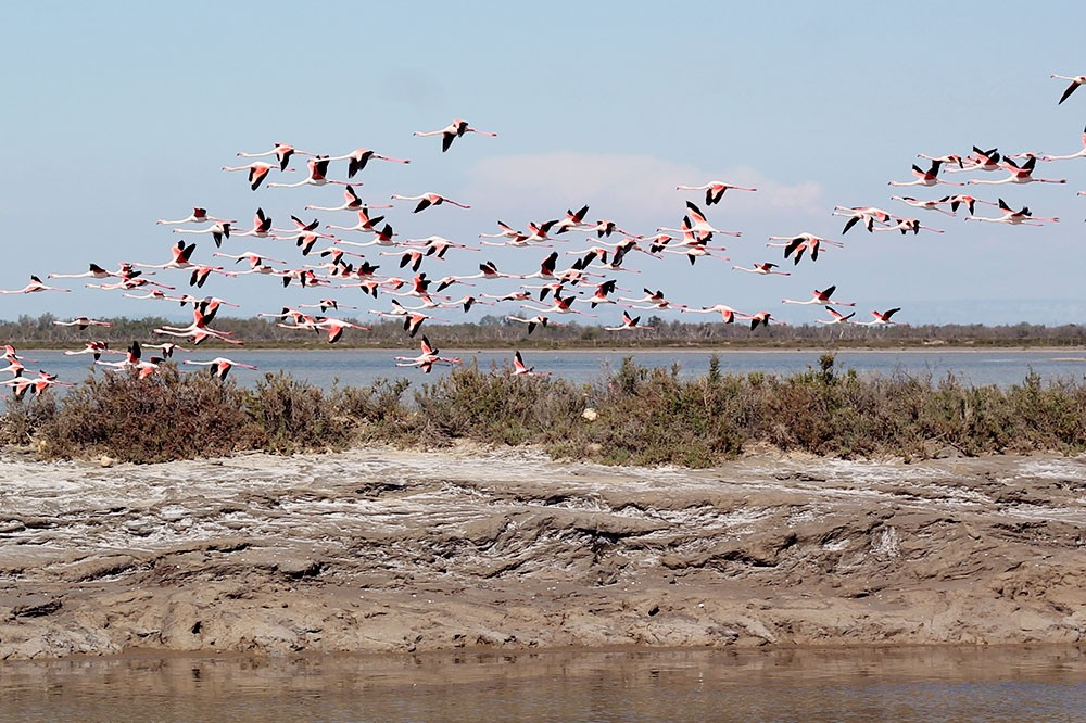 24c690c1-c92b-429f-9fe8-9c7ecd8ec587