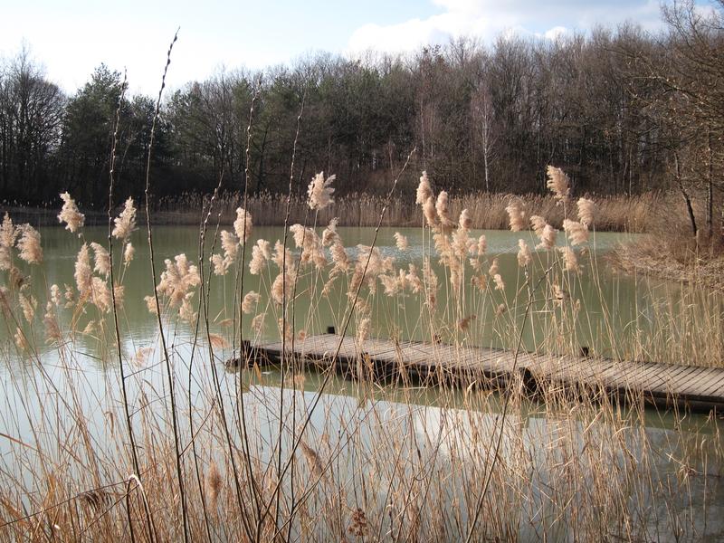 Etang de Colovrex Etang de Colovrex