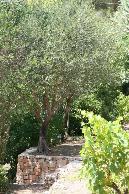 Les Aludes 1, La Destrousse - photo 8