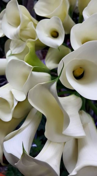 Nymphéa Fleurs - Fleuriste à Morestel