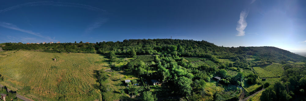 Circuit oenotouristique pédestre autour de Châteaugay