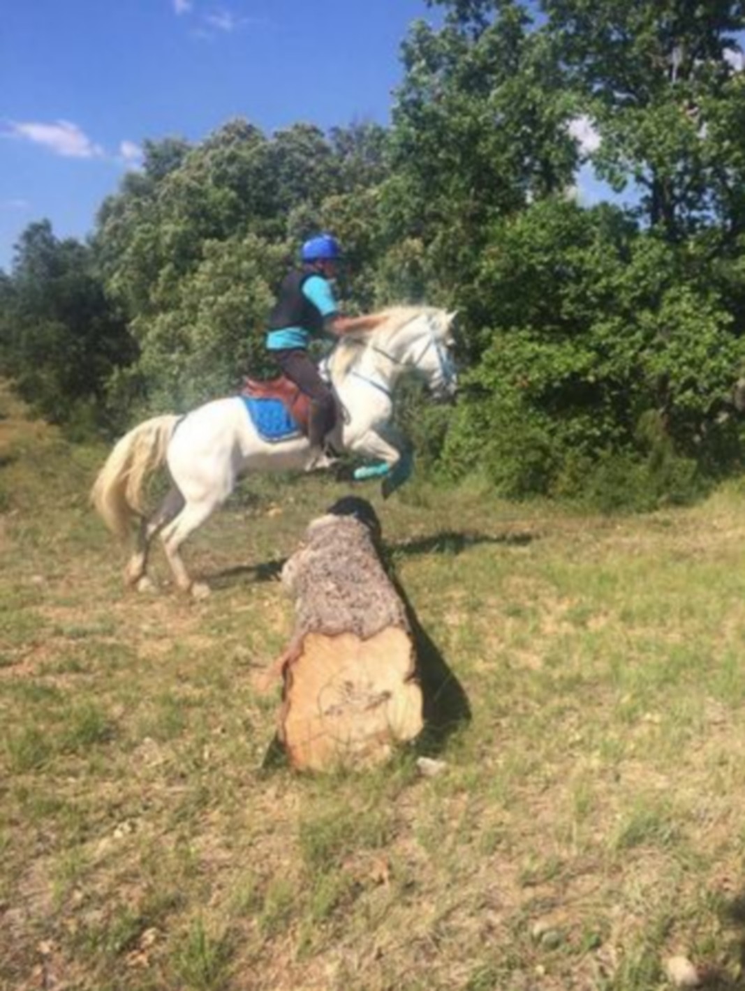 Centre équestre des Enganes, Fontvieille - photo 2