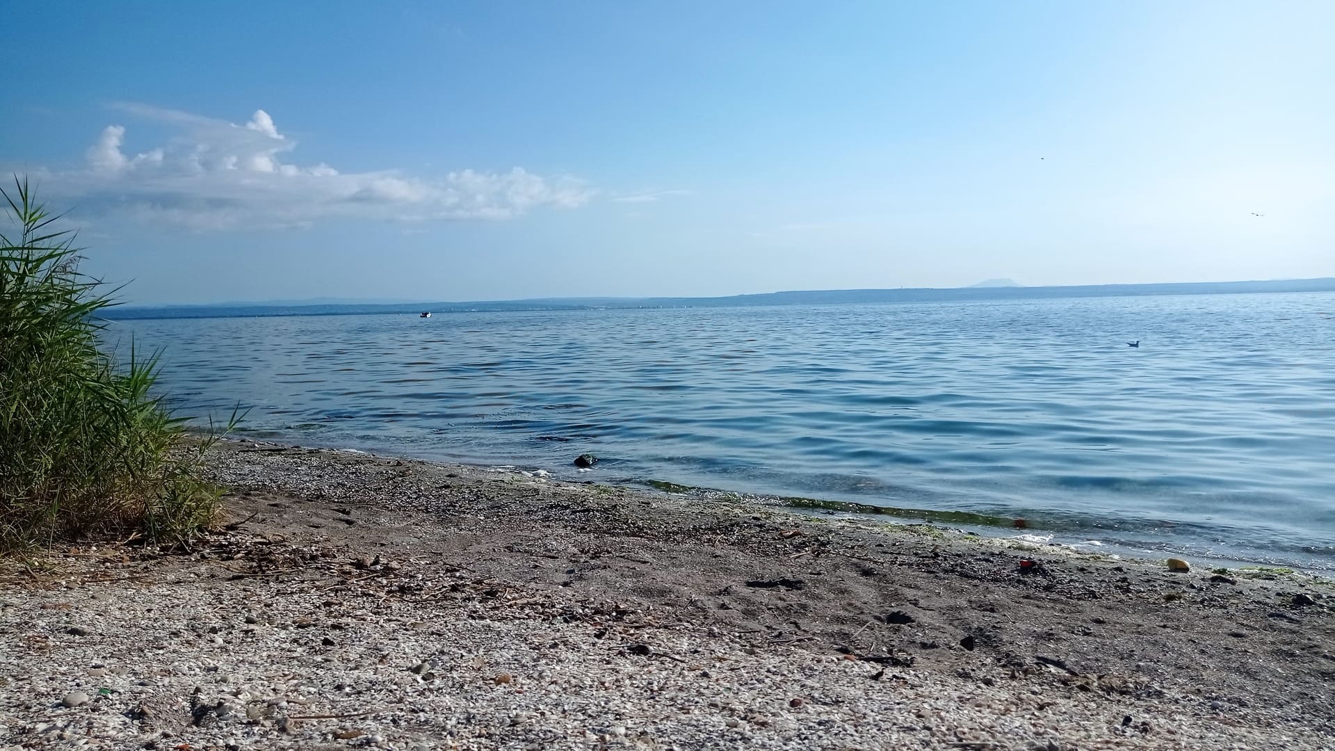 Eco balade autour de l'étang de Berre - photo 3