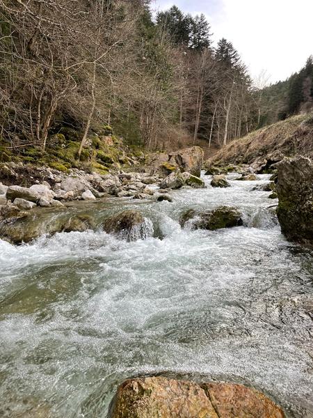 AAPPMA La Gaule du Grand-Veymont_Gresse-en-Vercors