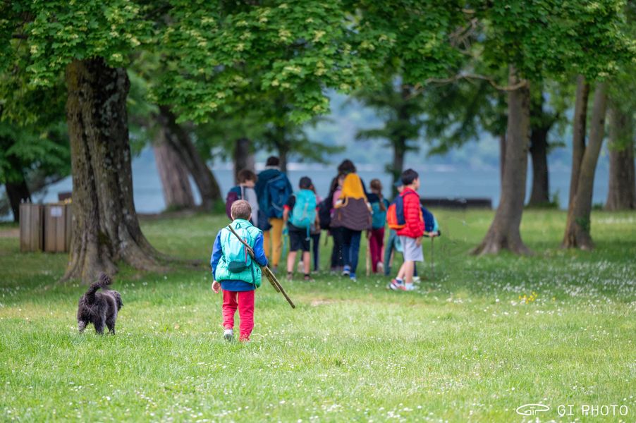 Promenade au fil de l'eau