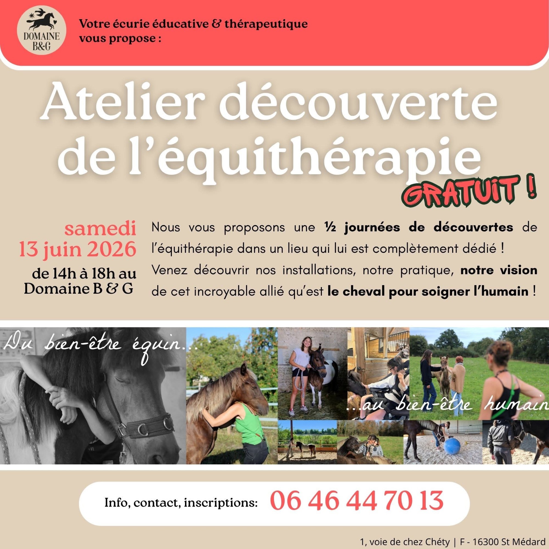 Atelier découverte de l'équithérapie - Domaine B&G