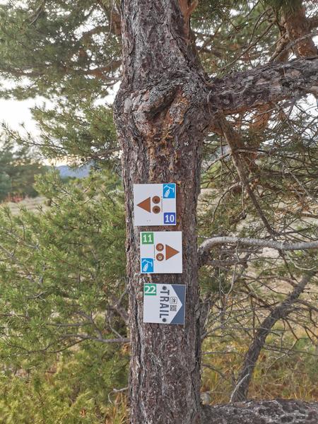 Circuit VTT N°10: La Nordique_Gréolières