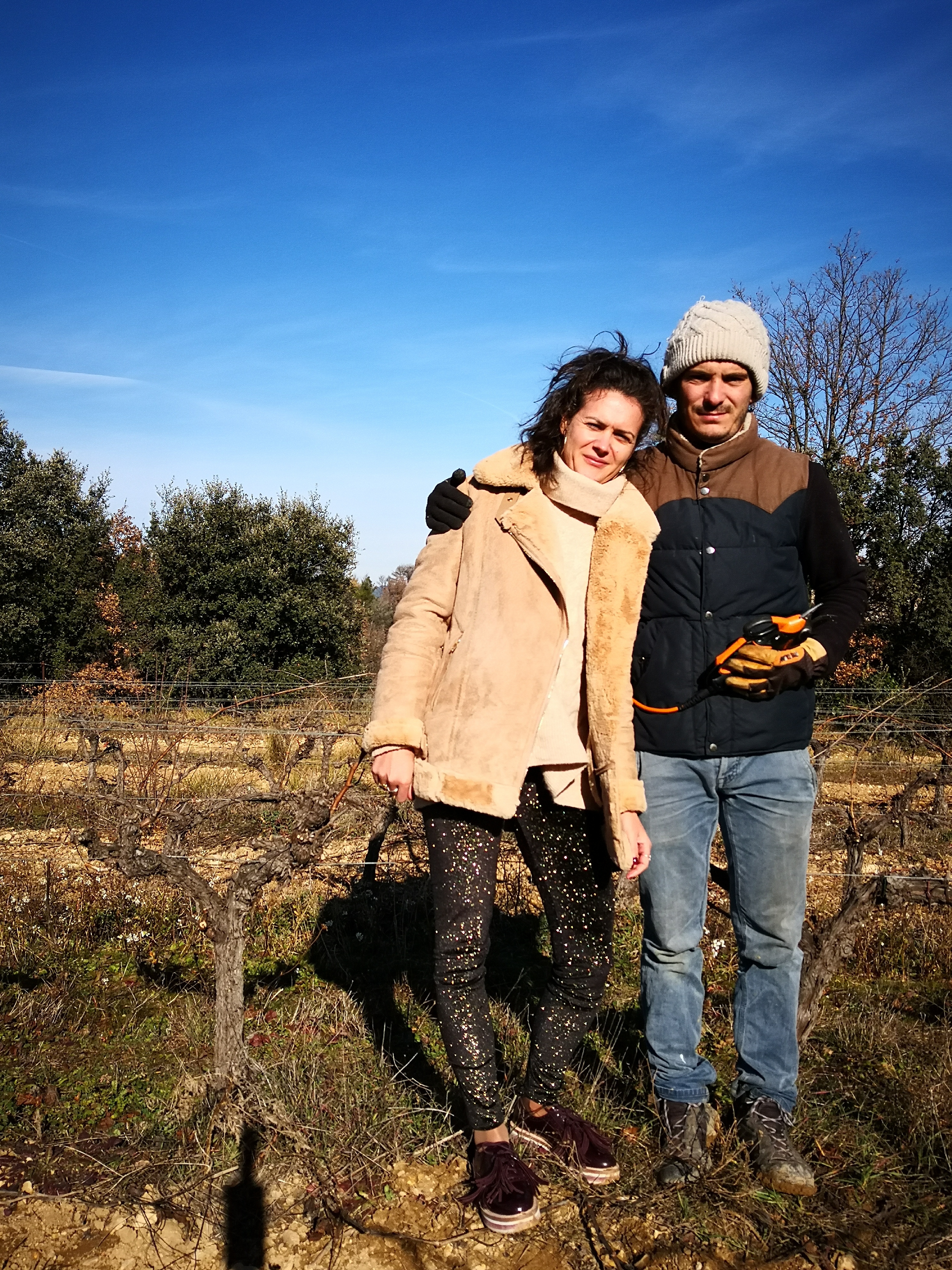 Villa Minna Vineyard — photo 3