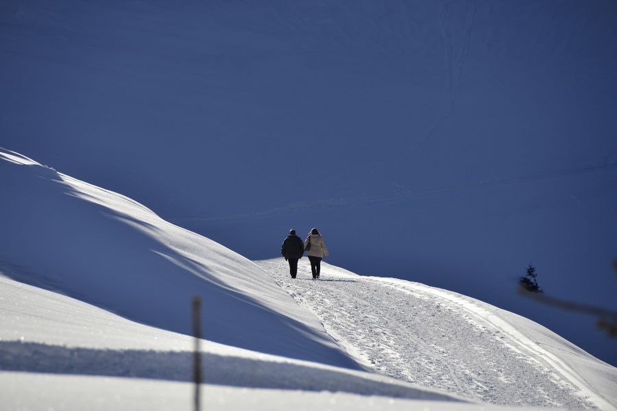 Promenade à pied sur le domaine de l'Essert