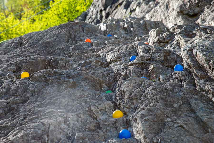Cie des Guides de Chamonix