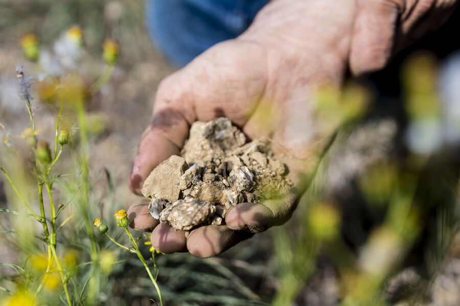 Domaine Laurent Fayolle