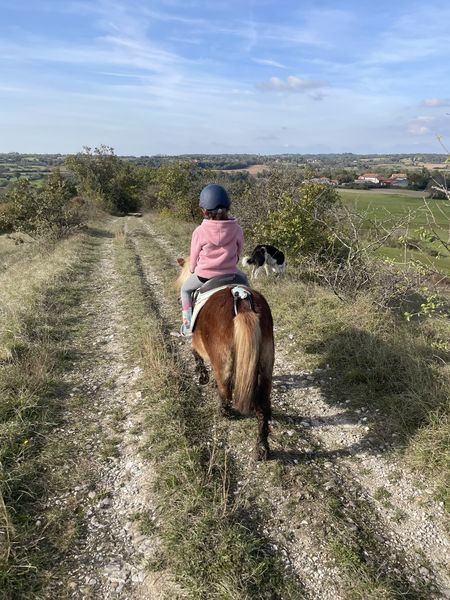 Balades - Ecurie Horseland