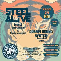 Steel alive - concert Le 24 mai 2024