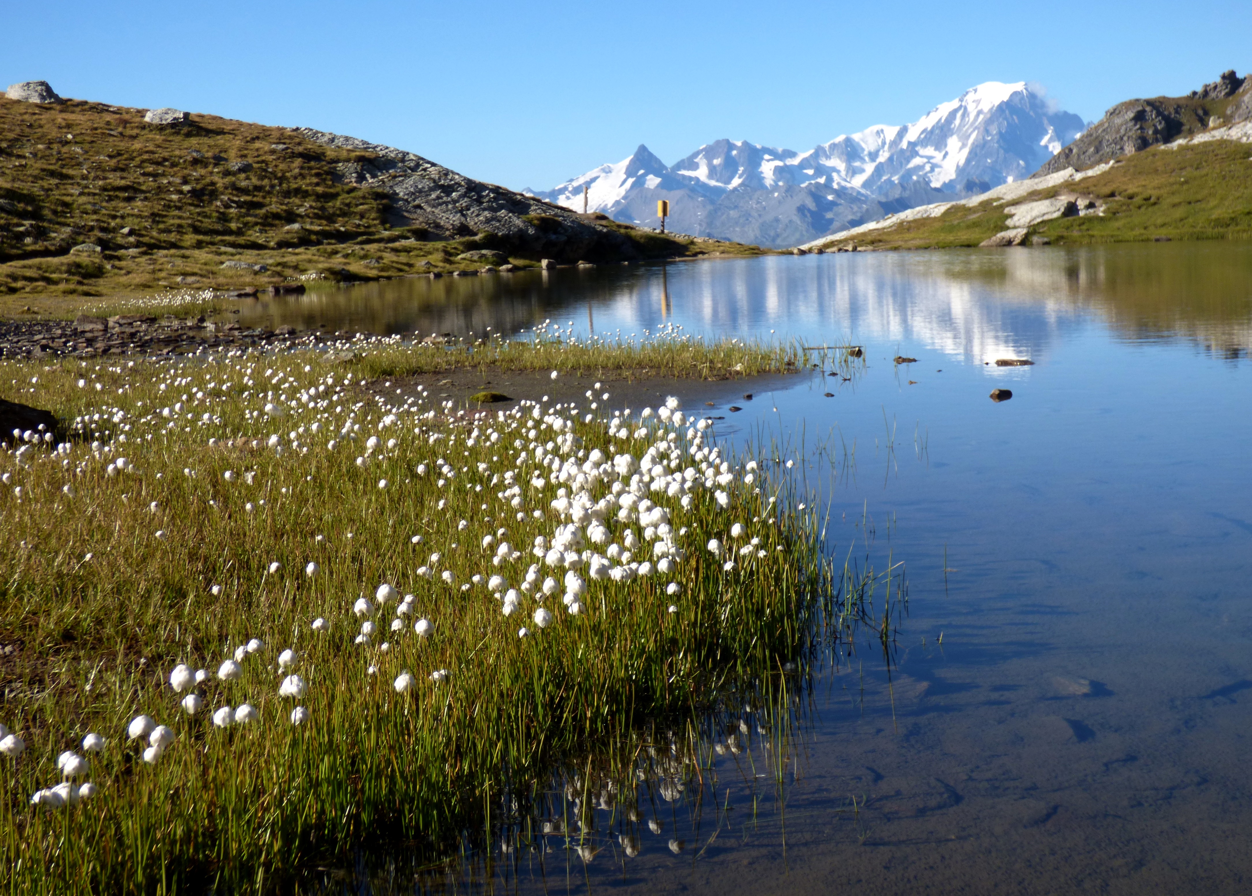 Lac des moutons col de la commune chail sept 2019 (49)