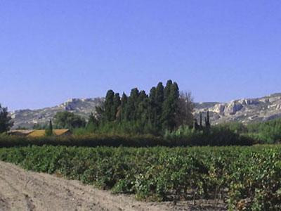Collines de Lançon, La Barben - photo 2