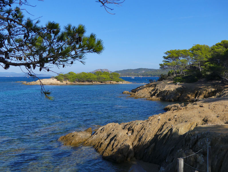 Côte nord de Porquerolles
