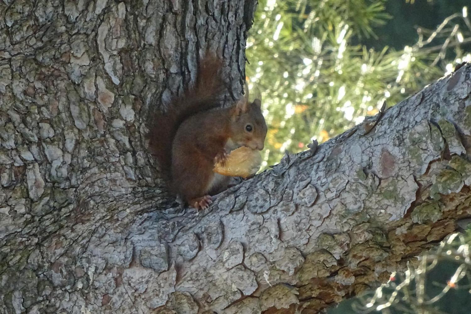 Gîte de l'Eynier, Mouriès - photo 22