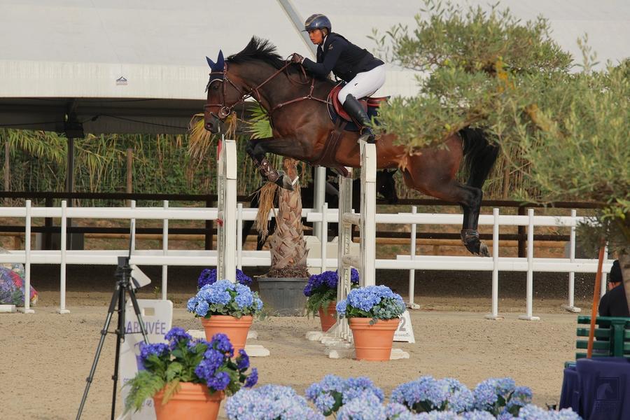 Concours de sauts international - jumping septembre_Gassin