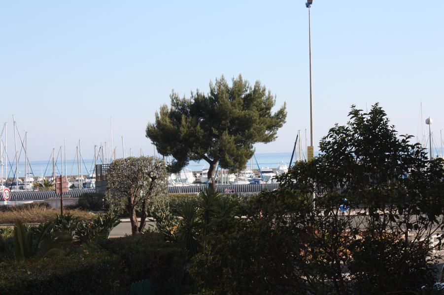 Vue de la terrasse