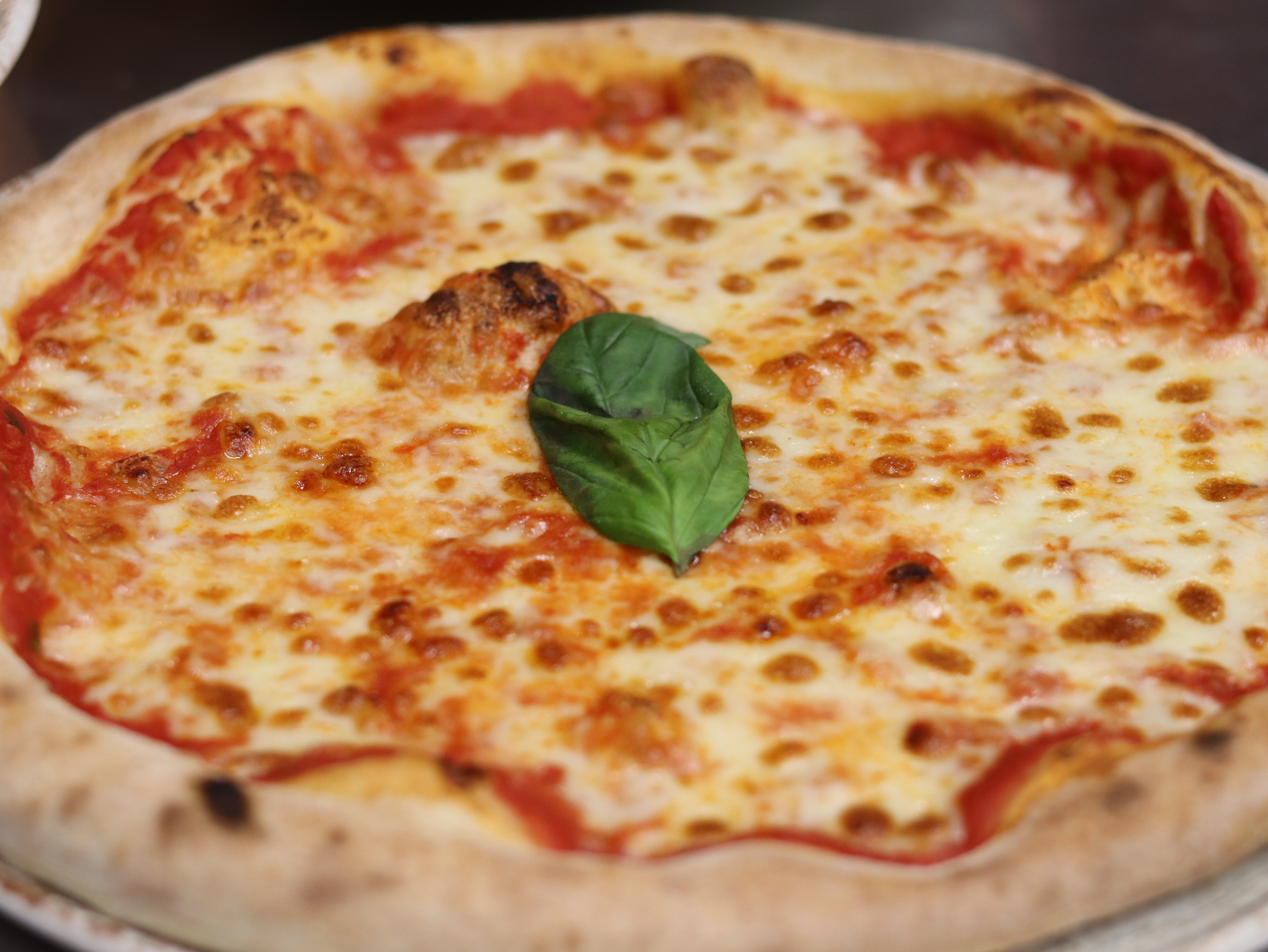 Pépé Zino - photo 3