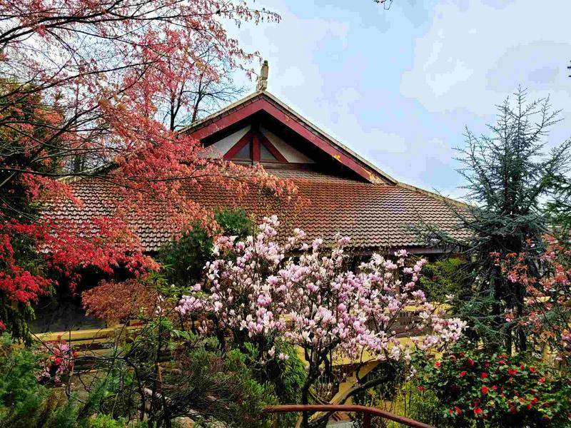 Visite et déjeuner végétarien à la Pagode vietnamienne Trùc Làm 