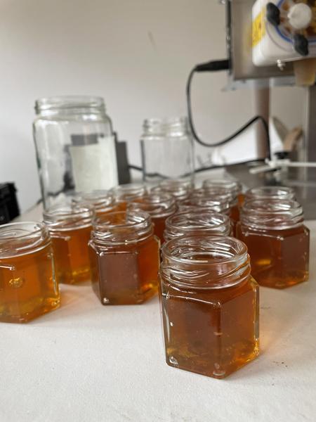 The apiary of Hélo_Massy