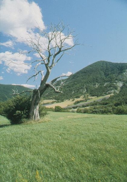 Village de Vesc (26220)