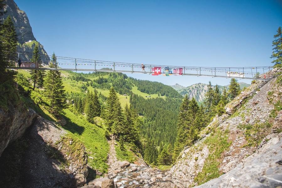 Passerelle Belle-Etoile