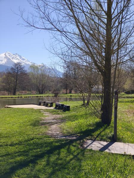 Rando-poussette de l'Etang du Crey_Susville