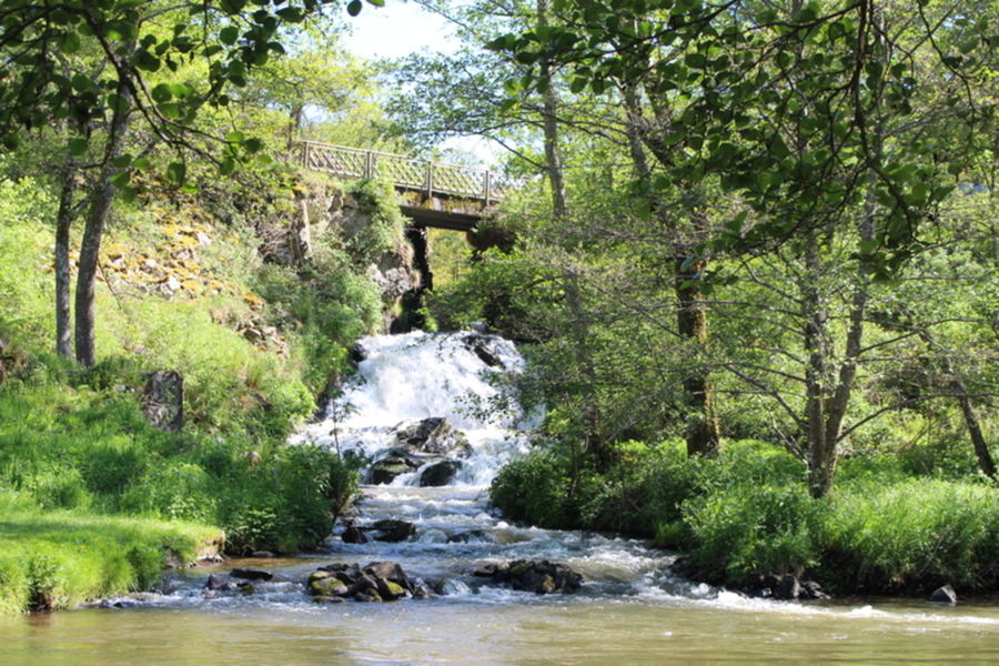 Expert Nature des Combrailles - La Sioule à Montfermy