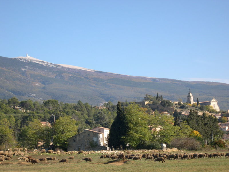 village bédoin