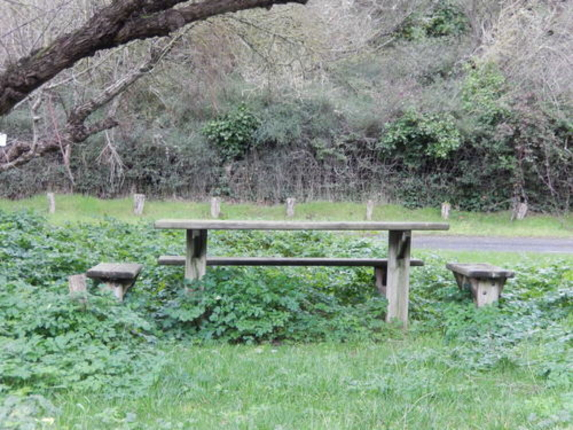 Aire de pique nique plage des Bonnes