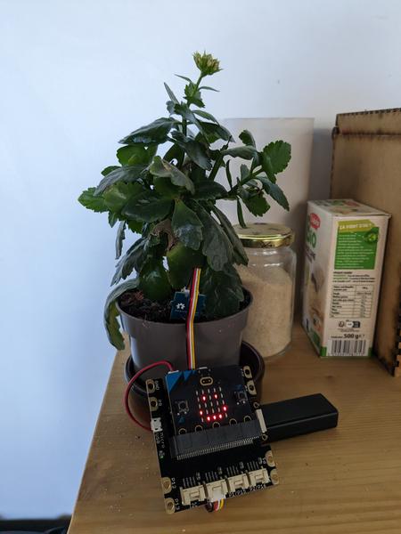 FABpéro partage de plants avec le REZO