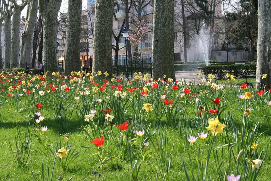 Jardin Frascaty 