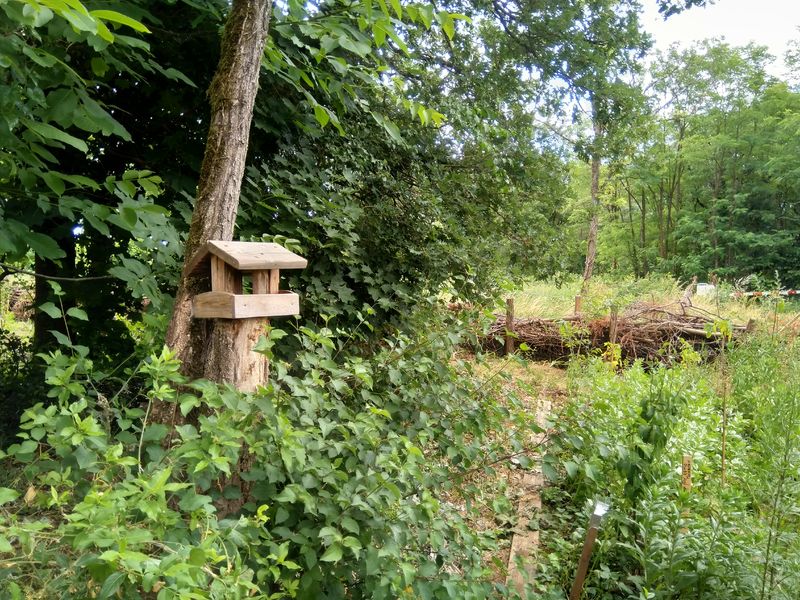 Forêt jardin - Neyron