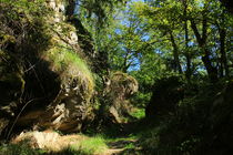 Chemin du Volcan