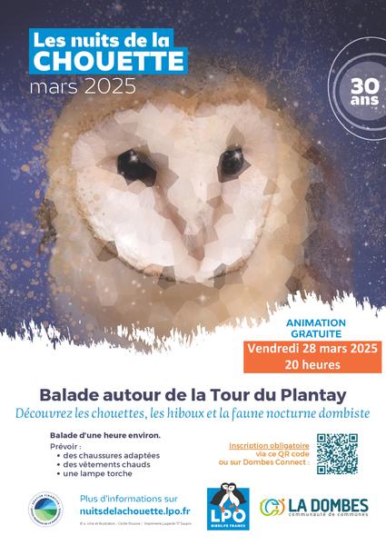 http://Nuit%20de%20la%20Chouette%20-%20À%20la%20découverte%20des%20rapaces%20nocturnes