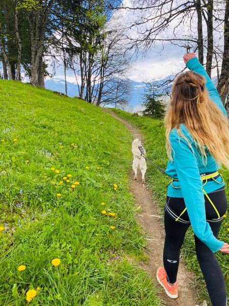 Balade avec un Husky Balade avec un Husky