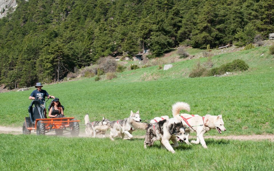 aussois-husky-adventure-cani-kart