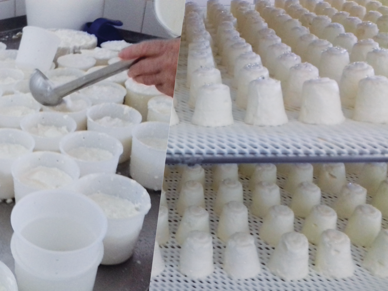 Fabrication des fromages à la Ferme du Naray