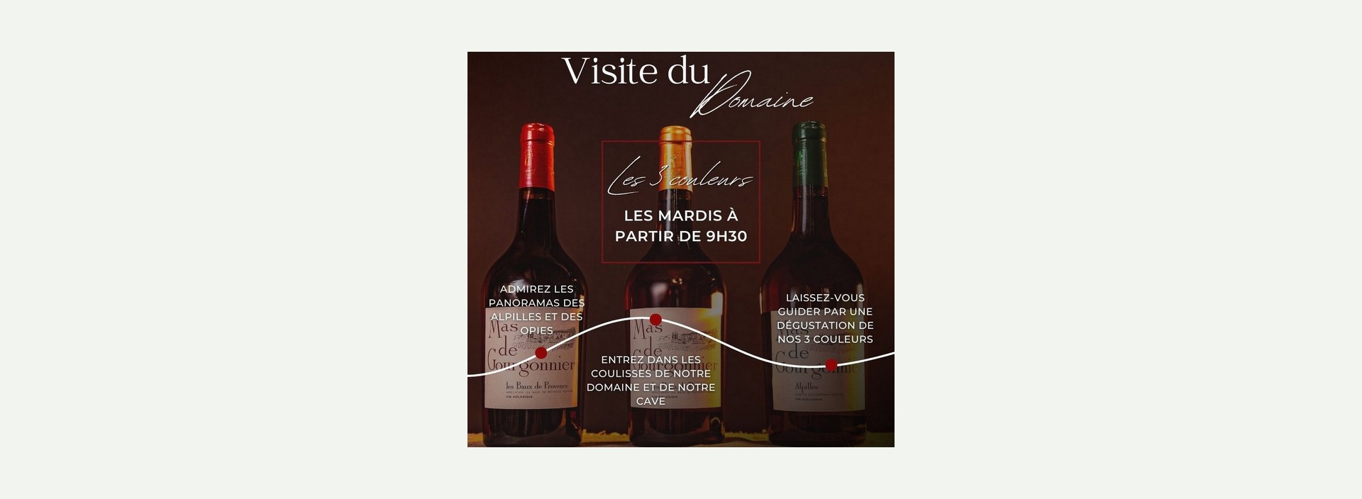 Visite du domaine viticole Mas de Gourgonnier - Les 3 couleurs