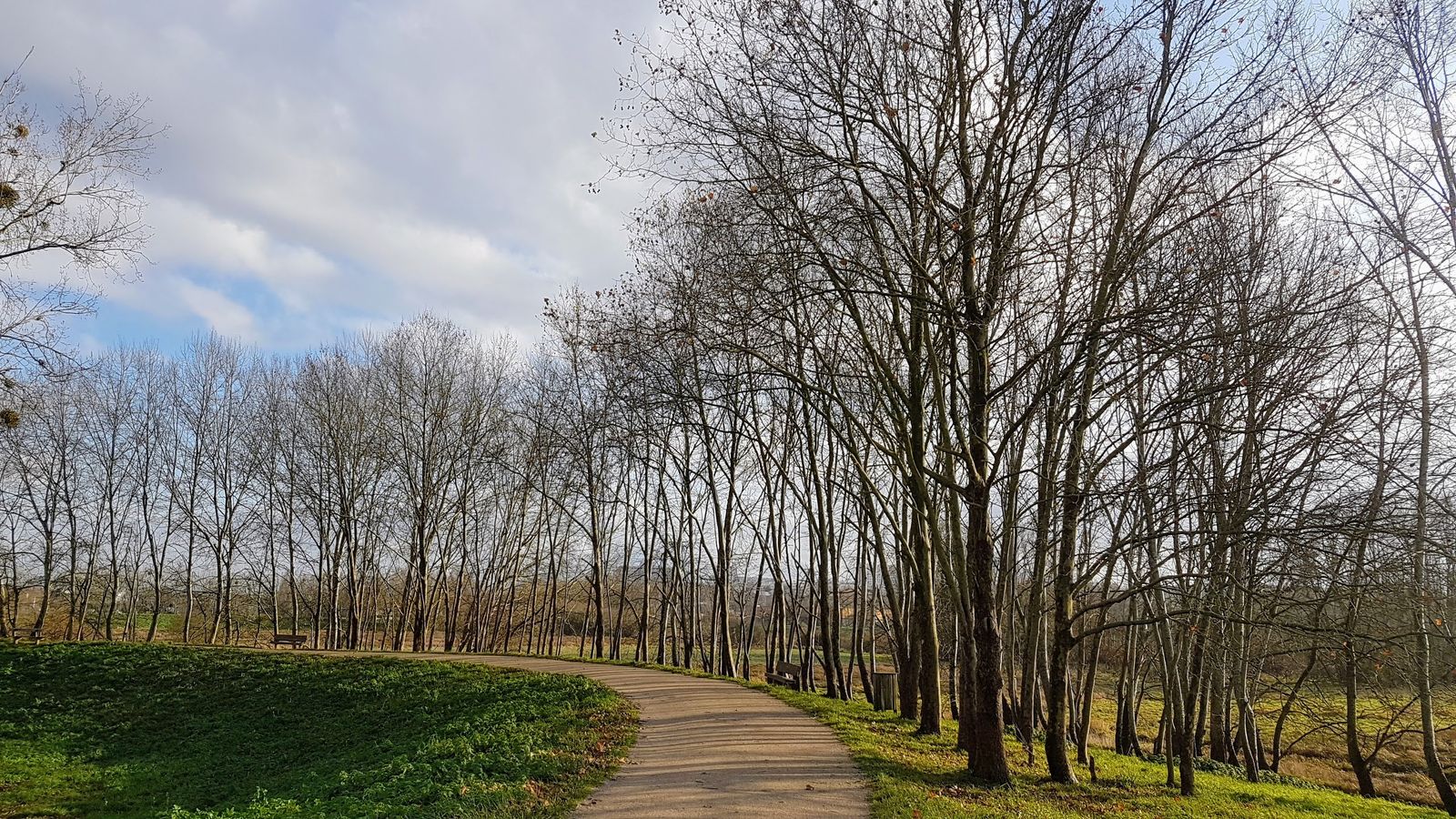 Le Tour de SaulxlesChartreux