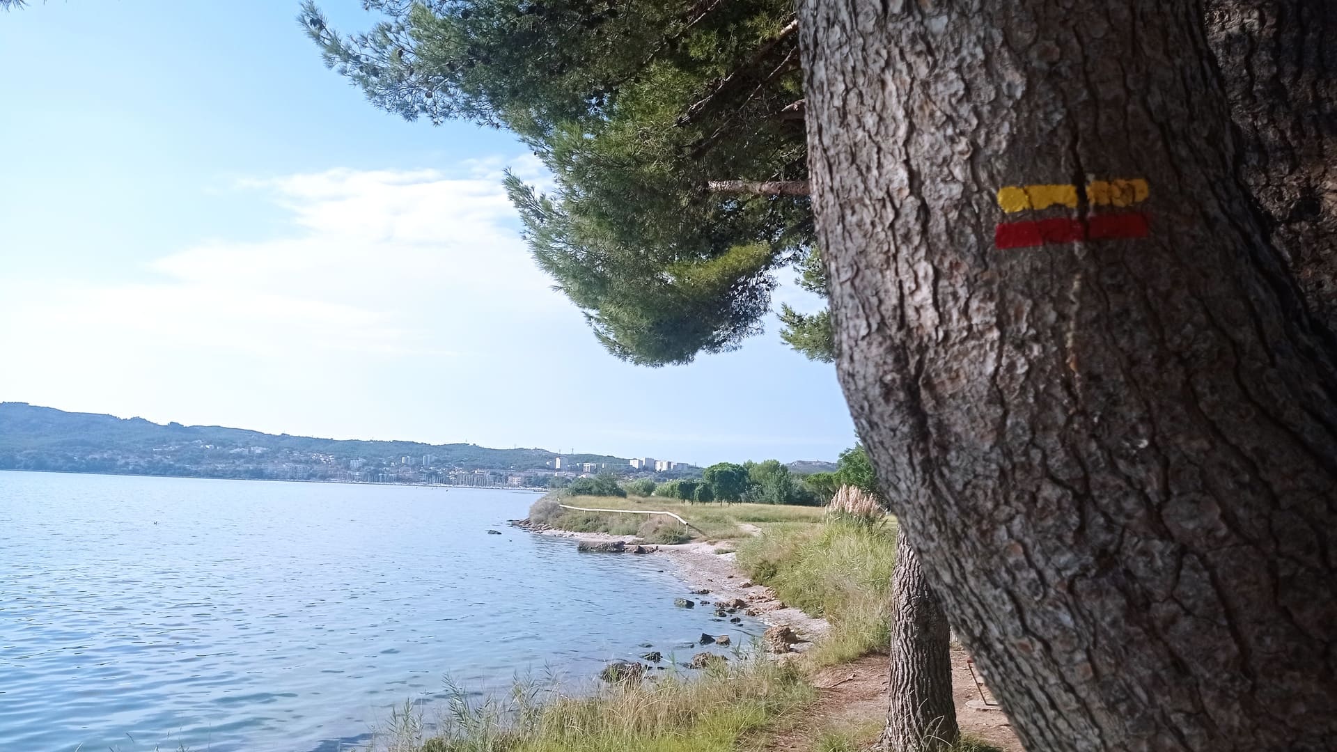Eco balade autour de l'étang de Berre - photo 2