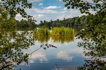 Gravière aux Oiseaux - « Ornithologues en herbe »_Mably