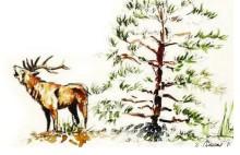 Immersions, cinq ans sur le Ventoux - Exposition_Cabrières-d'Avignon