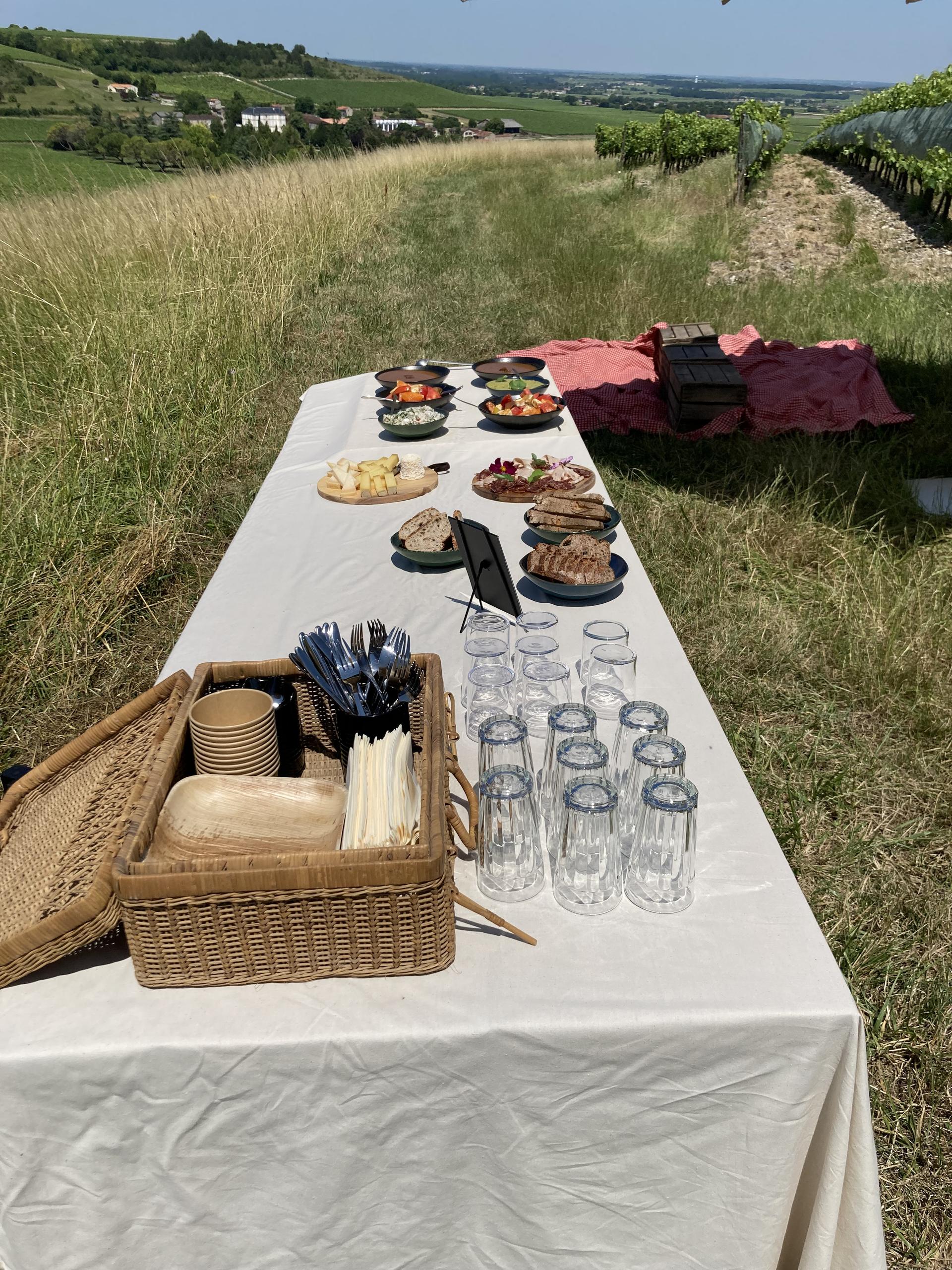 Pique-nique dans les vignes | Grape Explorers